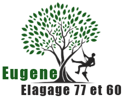 elagage-eugene-elagage
